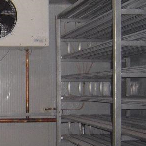 麻豆视频在线观看設備圖片2