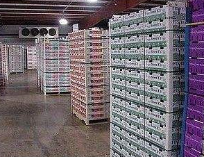 麻豆视频在线观看設備3