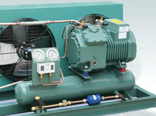 麻豆视频在线观看維修讓你了解比澤爾壓縮機的特點。