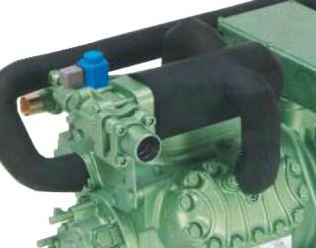 安徽麻豆国产AV超爽剧情系列氣調庫的庫體是什麽樣子的？