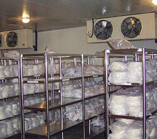 海鮮冷庫常見的幾大分類。