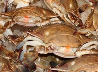 麻豆视频在线观看廠家圖片8