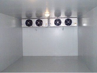 麻豆视频在线观看