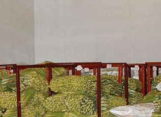 麻豆视频在线观看廠家直銷