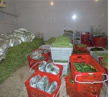 麻豆视频在线观看安裝