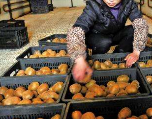 麻豆视频在线观看廠家