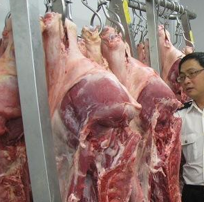 麻豆视频在线观看設備廠家