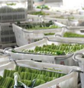 麻豆视频在线观看安裝直銷