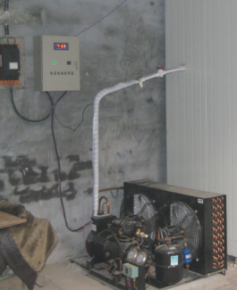 安徽麻豆国产AV超爽剧情系列製冷設備有限公司