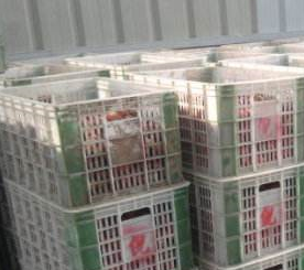 麻豆视频在线观看廠家直銷