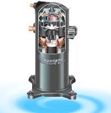 麻豆视频在线观看安裝圖片