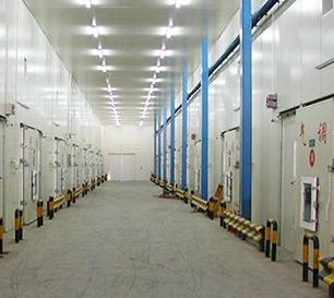 麻豆视频在线观看安裝103