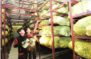 麻豆视频在线观看廠家維修