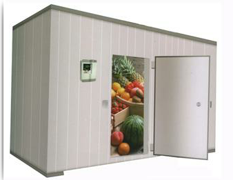 麻豆视频在线观看怎麽選擇？