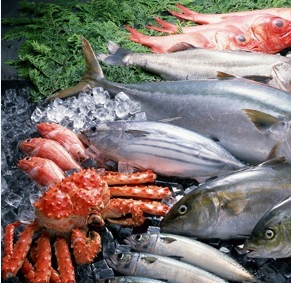 麻豆视频在线观看設備