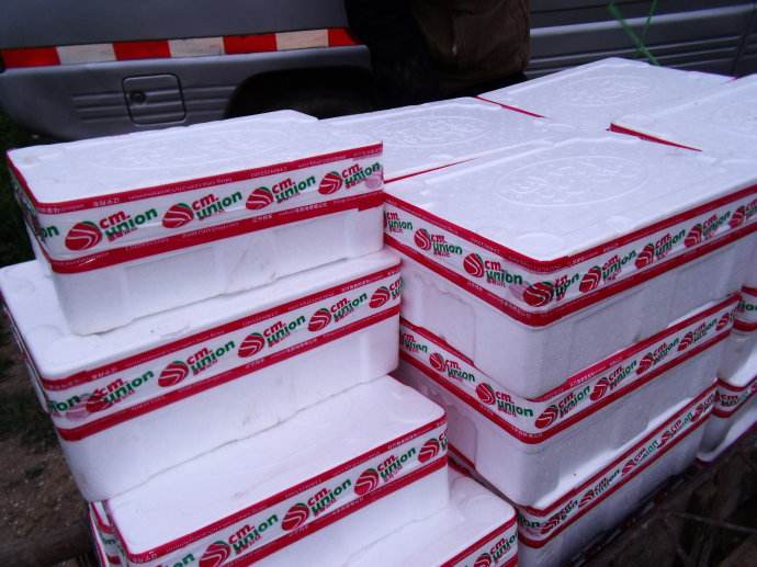 建造水果保鮮氣調庫需要注意哪些？