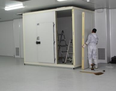 麻豆视频在线观看安裝