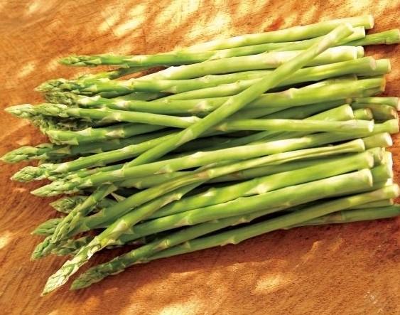 氣調冷庫——沒有安全措施一定要慎入！