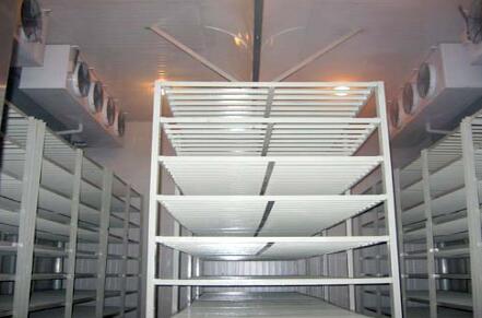 麻豆视频在线观看維修