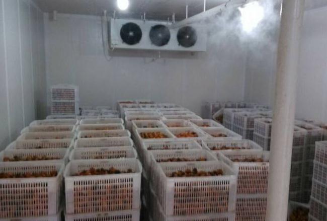 麻豆视频在线观看安裝