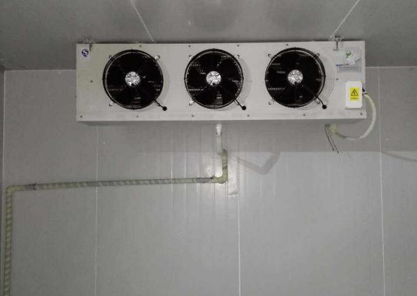 麻豆视频在线观看維修