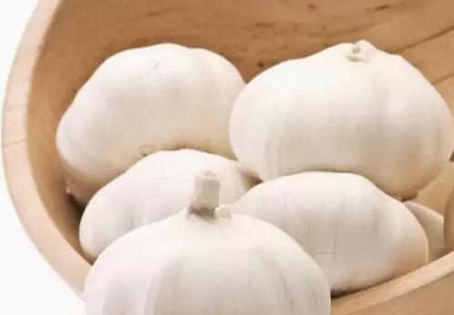 保鮮大蒜的儲藏和保鮮方法！麻豆视频在线观看廠家為你介紹！