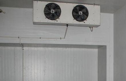 蔬果冷庫有什麽特點呢？看看麻豆视频在线观看銷售廠家分享的內容吧！