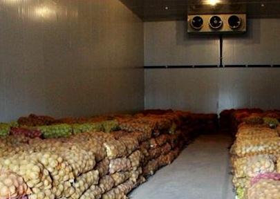 冷庫中的蔬菜/水果出現凍傷情況，是怎麽回事呢？