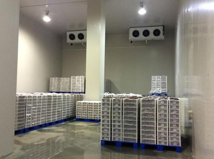 冷庫建造類型有幾種？麻豆视频在线观看的價格組成部分？