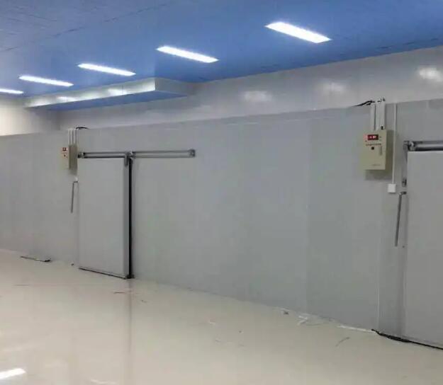 鮮花保鮮冷庫如何配置效果更好？請看安徽麻豆国产AV超爽剧情系列冷庫廠家的介紹