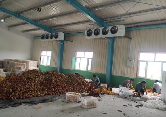 安徽麻豆国产AV超爽剧情系列生產的冷庫適用哪些領域？